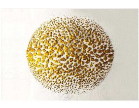 Toile décorative Gold arc 100 x 140 cm