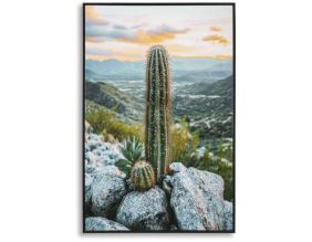 Toile décorative avec cadre Cactus 60 x 4 x 90 cm (Modèle 1)