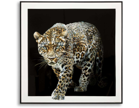 Toile décorative avec cadre Jaguar 82 x 4 x 82 cm (Modèle 2)