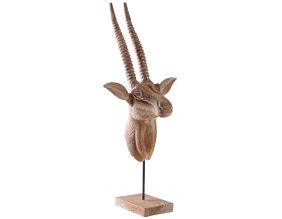 Trophée d'antilope 