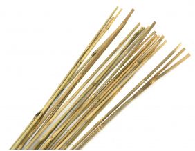 Tuteurs en bambou naturel (Lot de 20)