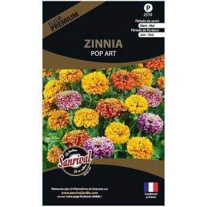 Graines de fleurs premium Zinnia pop art