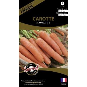 Graines potagères premium carotte (Naval)