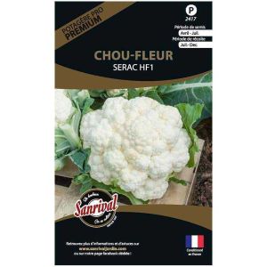 Graines potagères premium chou (Chou fleur blanc Serac)