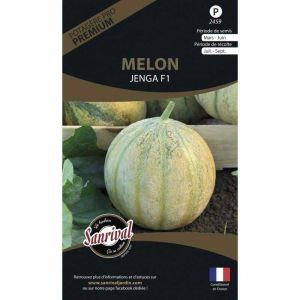 Graines potagères premium melon (Charentais Jenga)