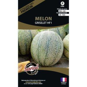 Graines potagères premium melon (Griselet)