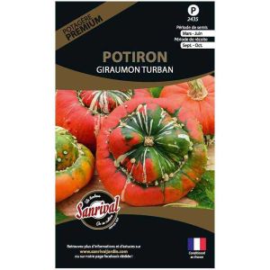 Graines potagères premium potiron (Giraumon turban)