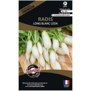 Graines potagères premium radis (Long blanc Leda)