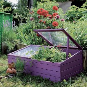 Petite serre de jardin en bois