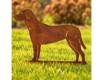 Animal de compagnie décoratif en métal rouillé (Chien debout)