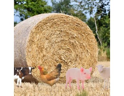 Animal de la ferme décoratif sur pic