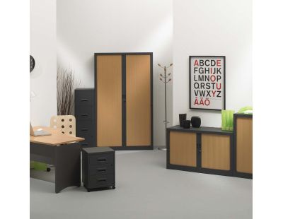 Armoire de bureau portes à rideaux 3 étagères (Anthracite, Hêtre)