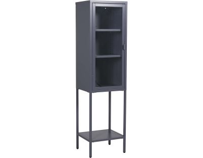 Armoire vitrée avec étagère en acier Misha (Gris)