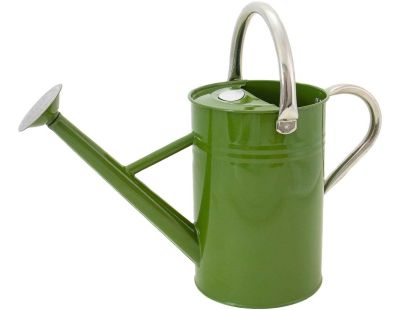 Arrosoir en acier galvanisé 4,5 litres (Vert)