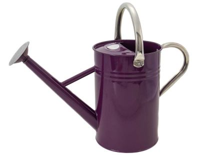 Arrosoir en acier galvanisé 4,5 litres (Violet)