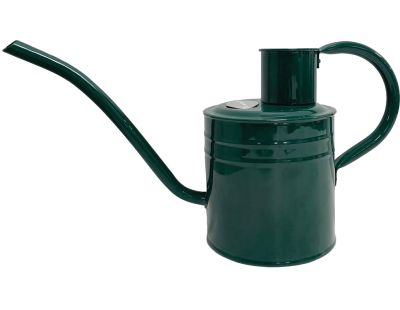 Arrosoir en acier galvanisé 2 litres