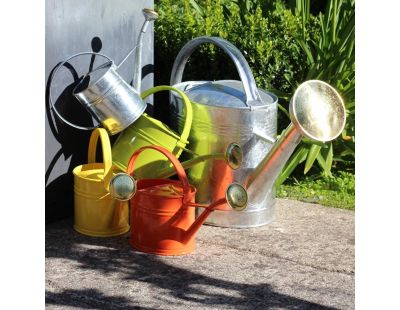 Arrosoir acier galvanisé avec pomme (6 litres)