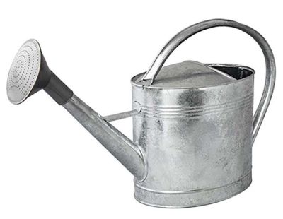 Arrosoir acier galvanisé avec pomme (13 litres)