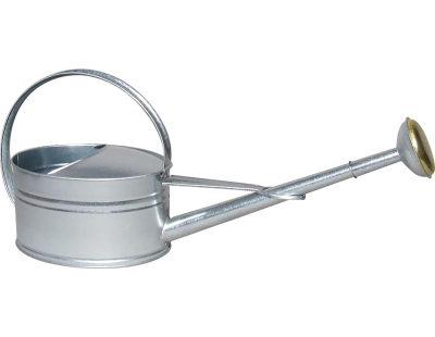 Arrosoir bec long 5 litres avec pomme en acier galvanisé