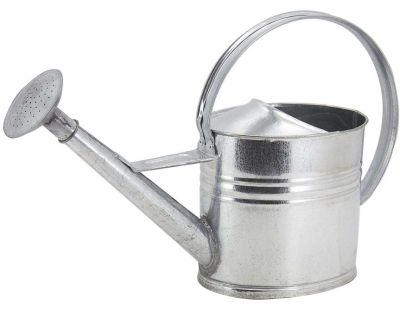 Arrosoir Witte 400 ml pour petites plantes d'intérieur, Mini arrosoir en  métal à long