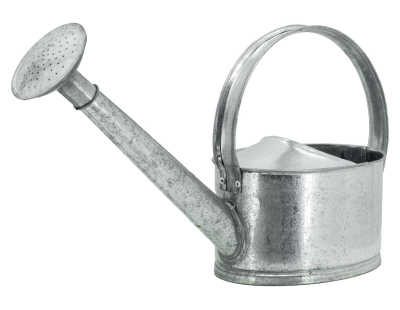 Arrosoir en zinc 5 litres