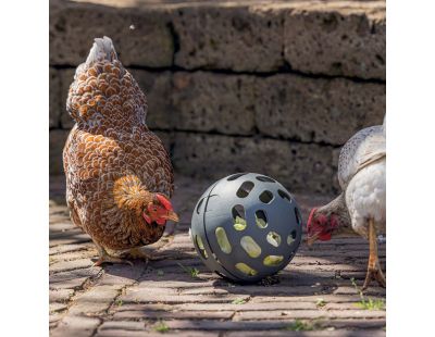 Balle à friandises pour poules 15 cm