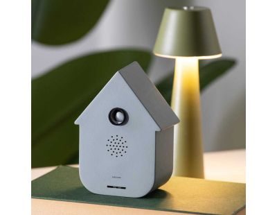 Boîte à son Modern Cuckoo (Gris souris)