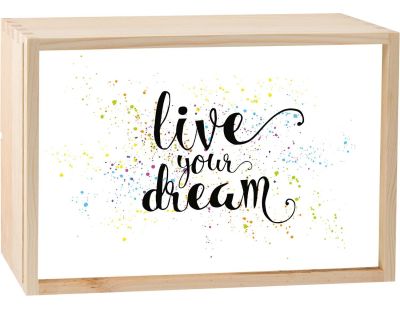 Boite lumineuse LED 30x20 cm (Live your dream)