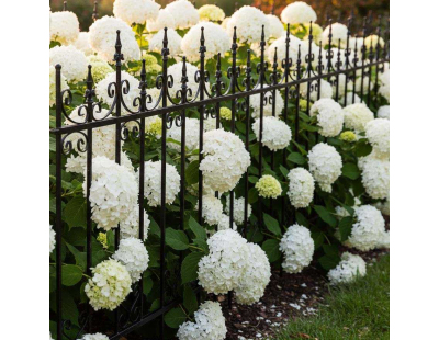 Bordure de jardin en métal 156 x 2,2 x 117 cm (Volute)