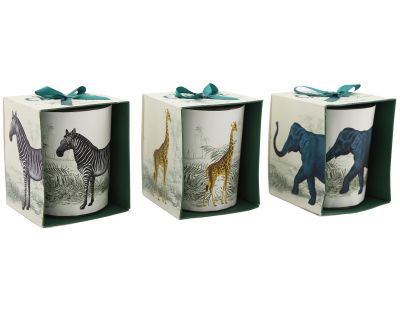 Bougie en pot Safari 8 x 10 cm (Lot de 3)