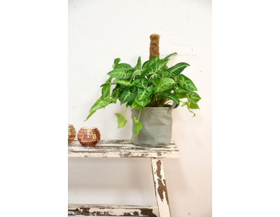 Cache pot en jute gris