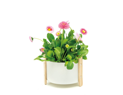 Cache-pot en métal laqué et bois (14.5 cm)