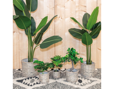 Cache pot rond en osier gris (Lot de 5)