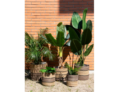 Cache-pots en jonc naturel et brun (Petit Modèle)