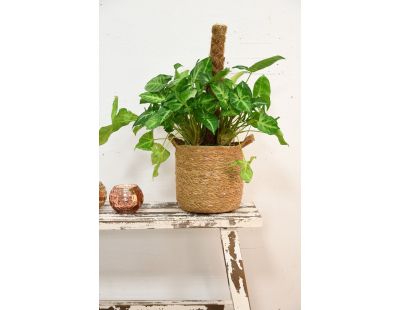 Cache-pots ronds en jonc (Lot de 3)