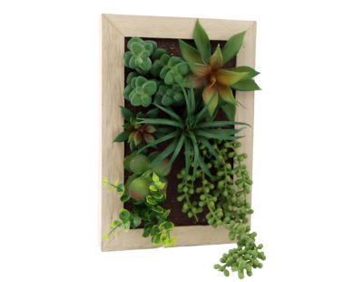 Cadre mural avec plante succulente artificielle 20 x 30 cm