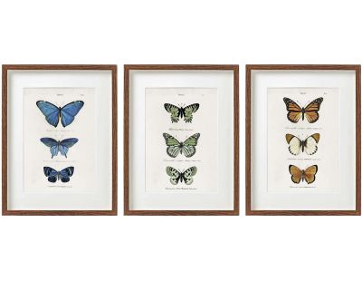Cadre papillons colorés 30 x 40 cm (Lot de 3)