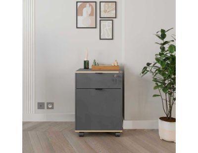 Caisson de rangement sur roulettes Ria