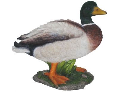 Canard colvert en résine 29 cm