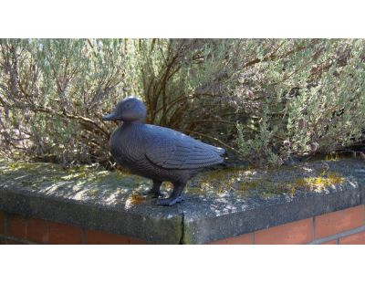 Canard en fonte 24 cm