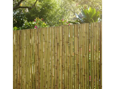 Canisse en bambou (1,5 x 1,8 m)