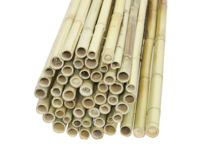 Canisse en bambou (2 x 1,8 m)