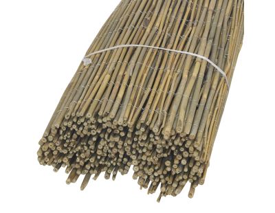 Canisse Bambou EPAIS - Diam 3-3,5 cm - Jardin/Canisse bambou