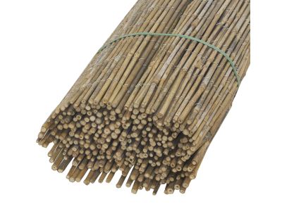 Canisse en petit bambou (1 x 5 m)