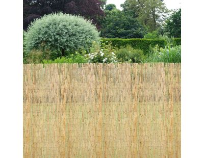 Canisse en roseau (2 x 5 m)