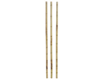 Canne en bambou (à l'unité)