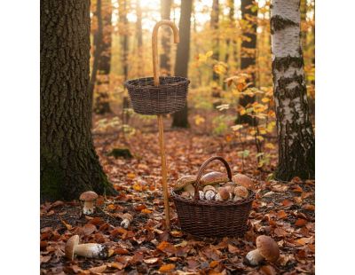 Canne à champignons en osier
