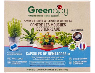 Capsules de nématodes anti mouches des terreaux