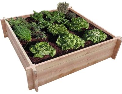 Carré potager sur pied, 4 cases, hauteur ajustable, bois, potager extérieur,  Solid, achat, pas cher