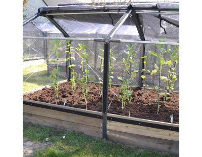 Carré potager en mélèze avec serre Siberian (Longueur 240 cm)